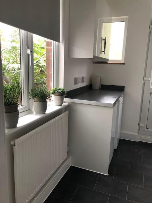 Garden Flat In Central Location Apartment London Ngoại thất bức ảnh